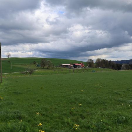 Ferienwohnung Hippenhof Hohenfels  Exteriör bild