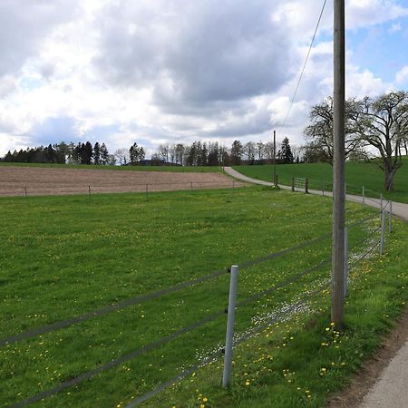 Ferienwohnung Hippenhof Hohenfels  Exteriör bild